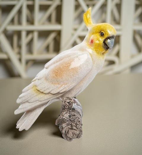 Captain Coco Parrot (Wall Parrot)