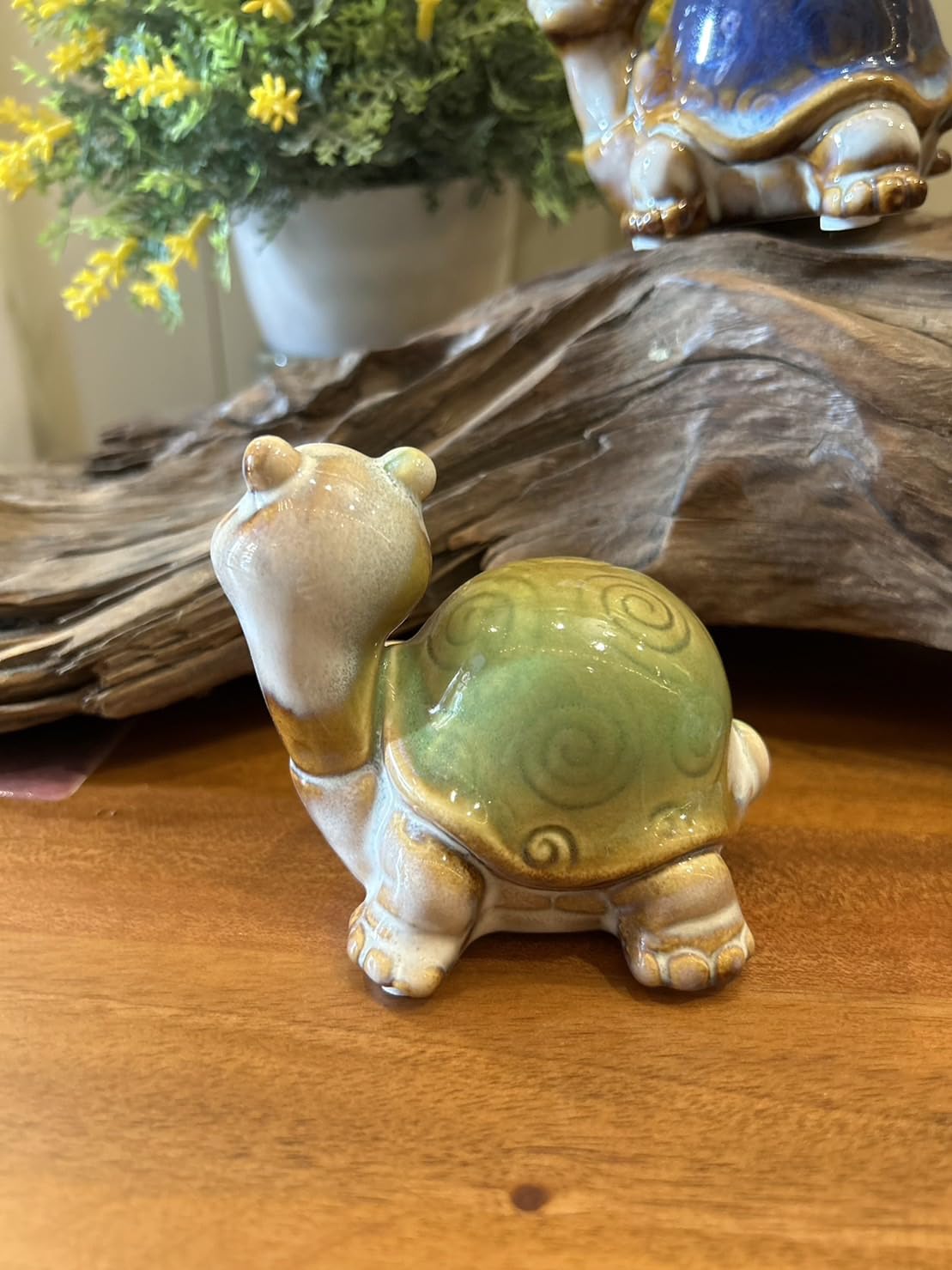 Smiley Turtles, Set of 4