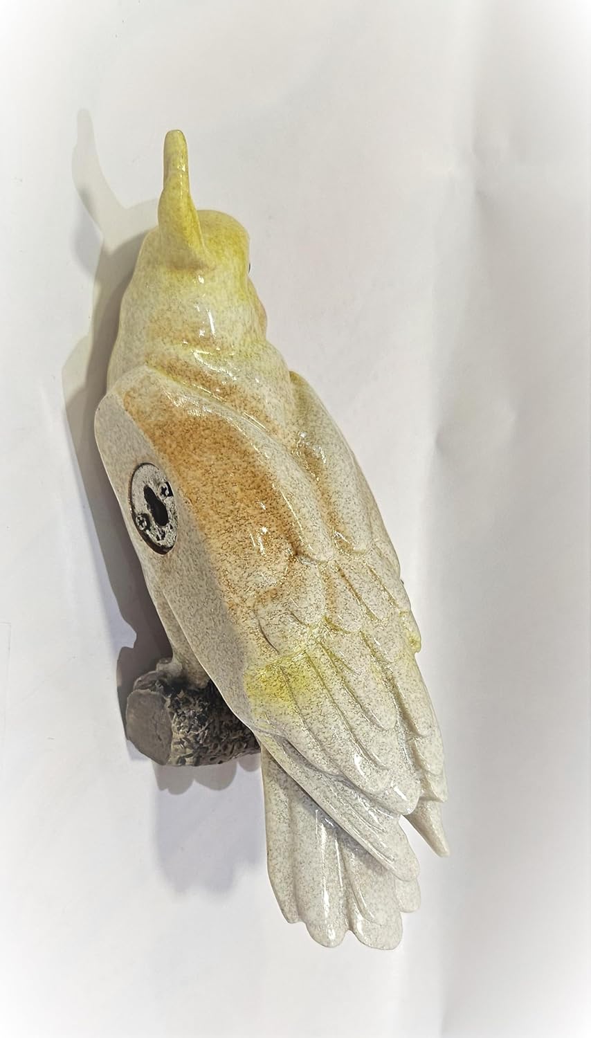 Captain Coco Parrot (Wall Parrot)