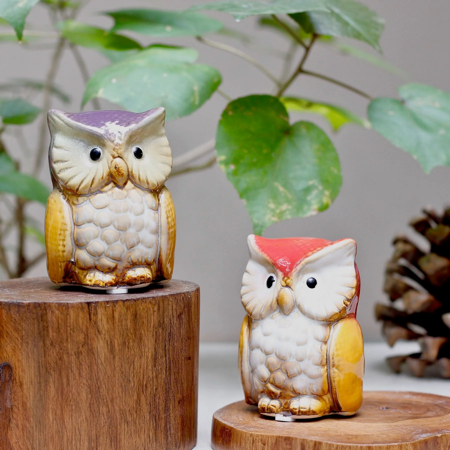 Hoot & Hearth – Collectible Ceramic Owl | Set of 2