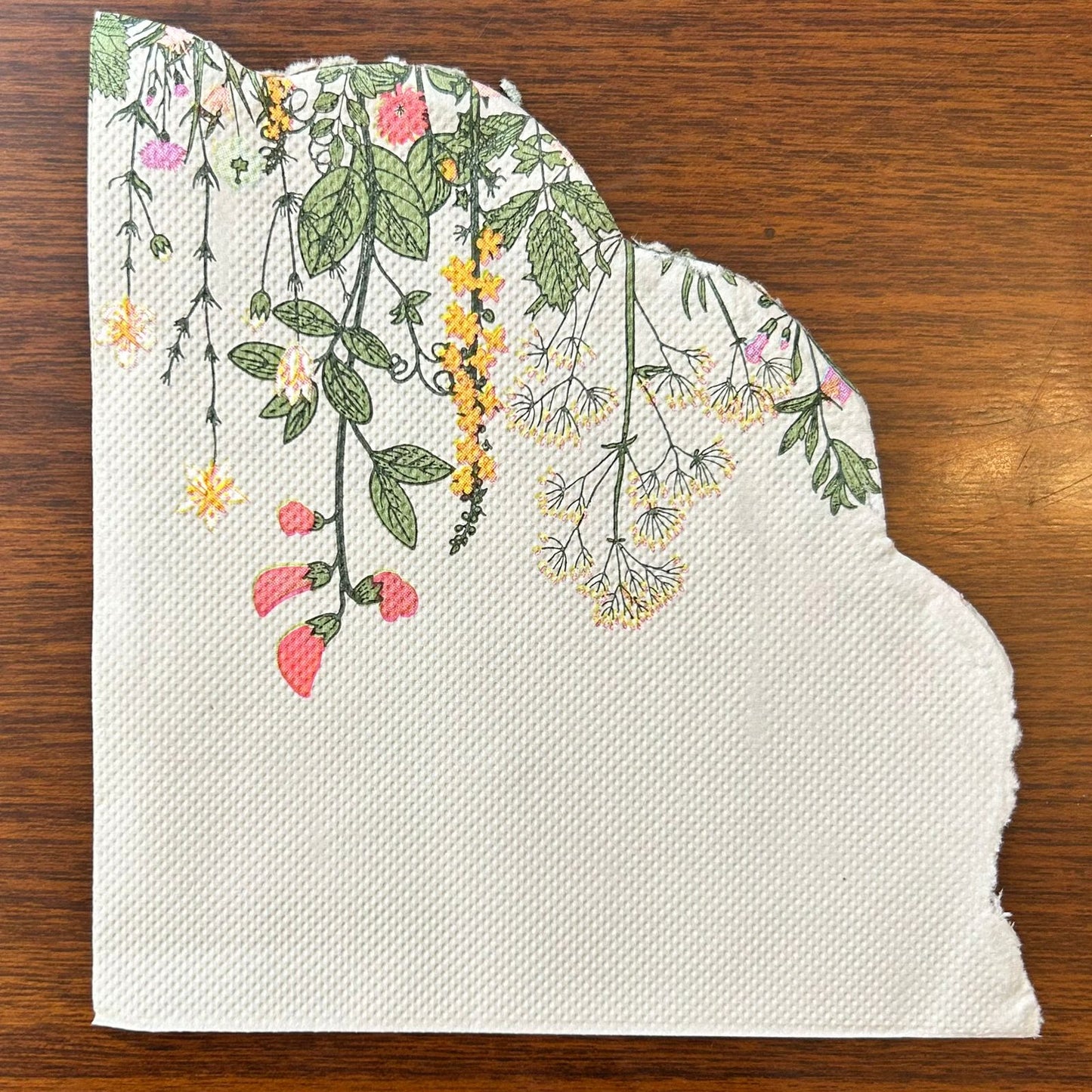 PAPER NAPKINS Premium Floral Scallop-Edge |Any Set of 5