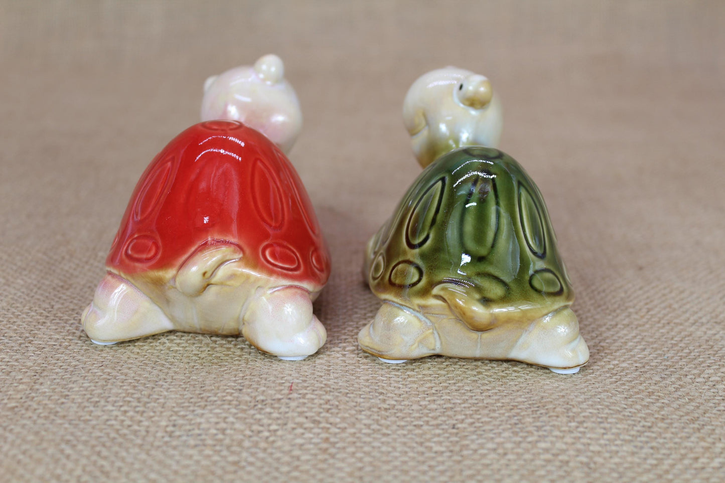 Glazed Turtle Friends | Set of 2 big