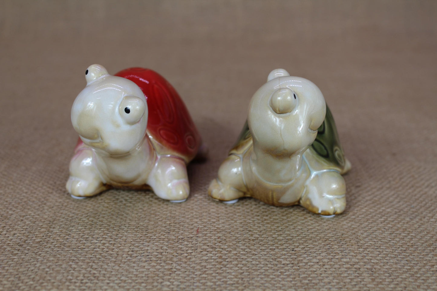 Glazed Turtle Friends | Set of 2 big