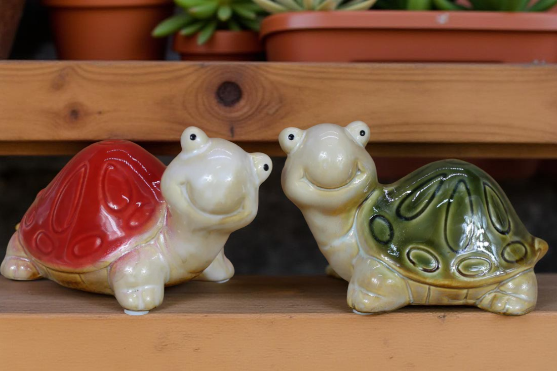 Glazed Turtle Friends | Set of 2 big