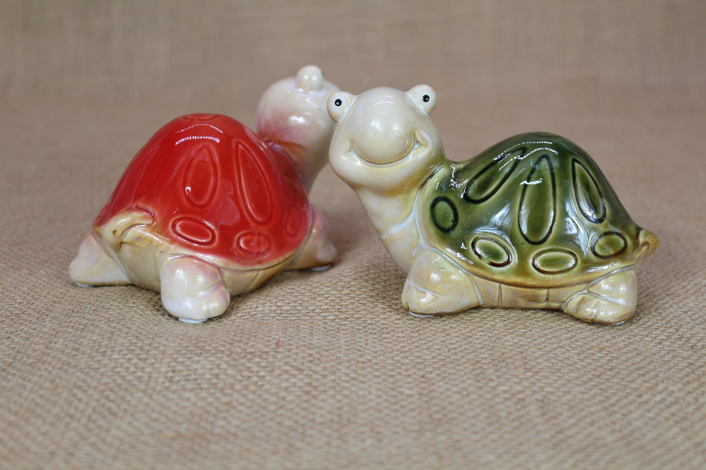 Glazed Turtle Friends | Set of 2 big