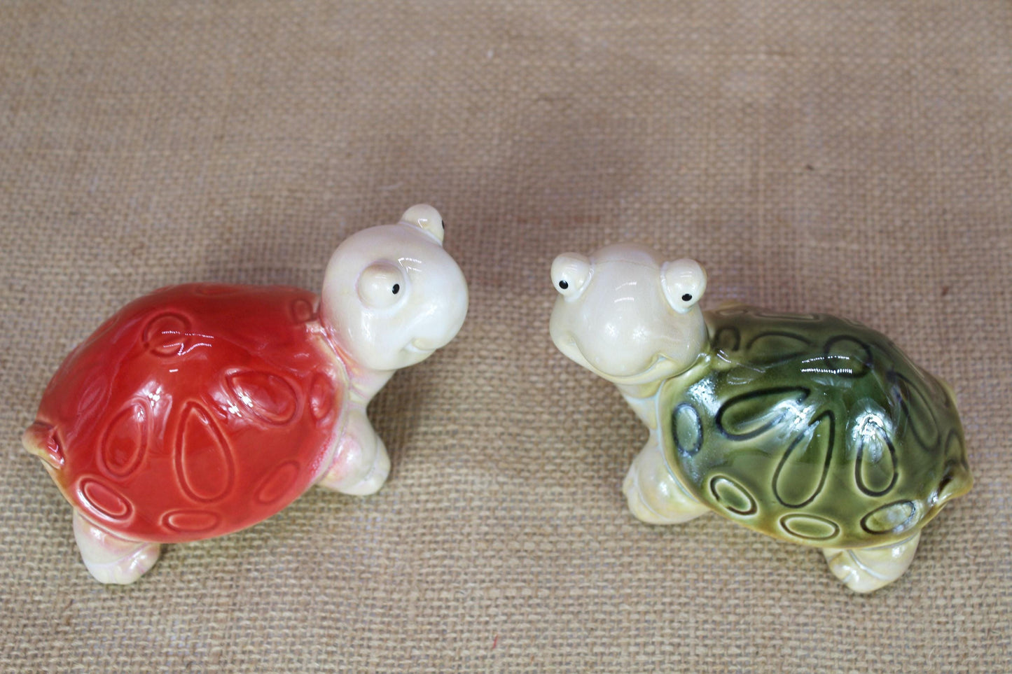 Glazed Turtle Friends | Set of 2 big