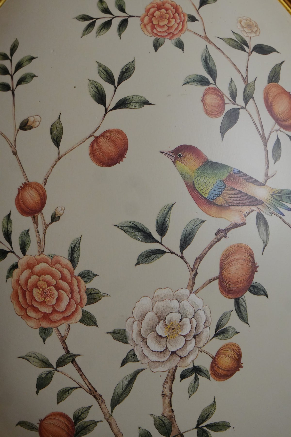 Cream Pomegranate & Bird Oval Wall Plaque with Gold Baroque Frame