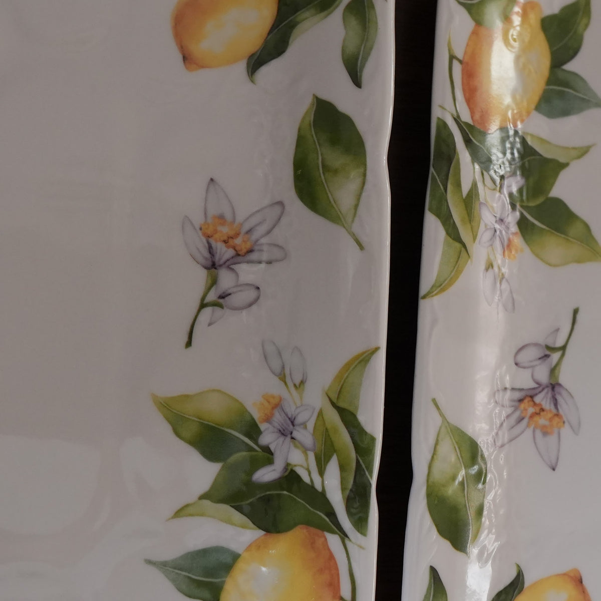 Lemon Blossom Ceramic Rectangular Platter (Set of 2)