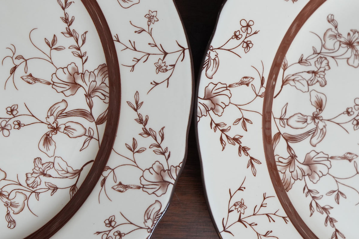 Cinnamon Songbird Ceramic Dinner Plate Set of 2