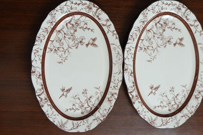 Cinnamon Songbird Ceramic Oval Serving Platter Set of 2