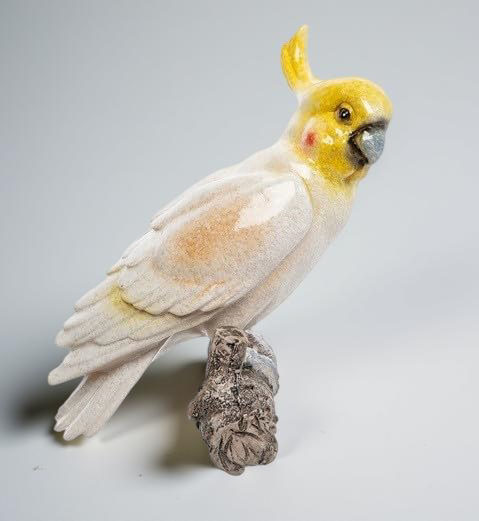 Captain Coco Parrot (Wall Parrot)
