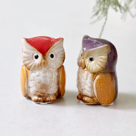 Hoot & Hearth – Collectible Ceramic Owl | Set of 2