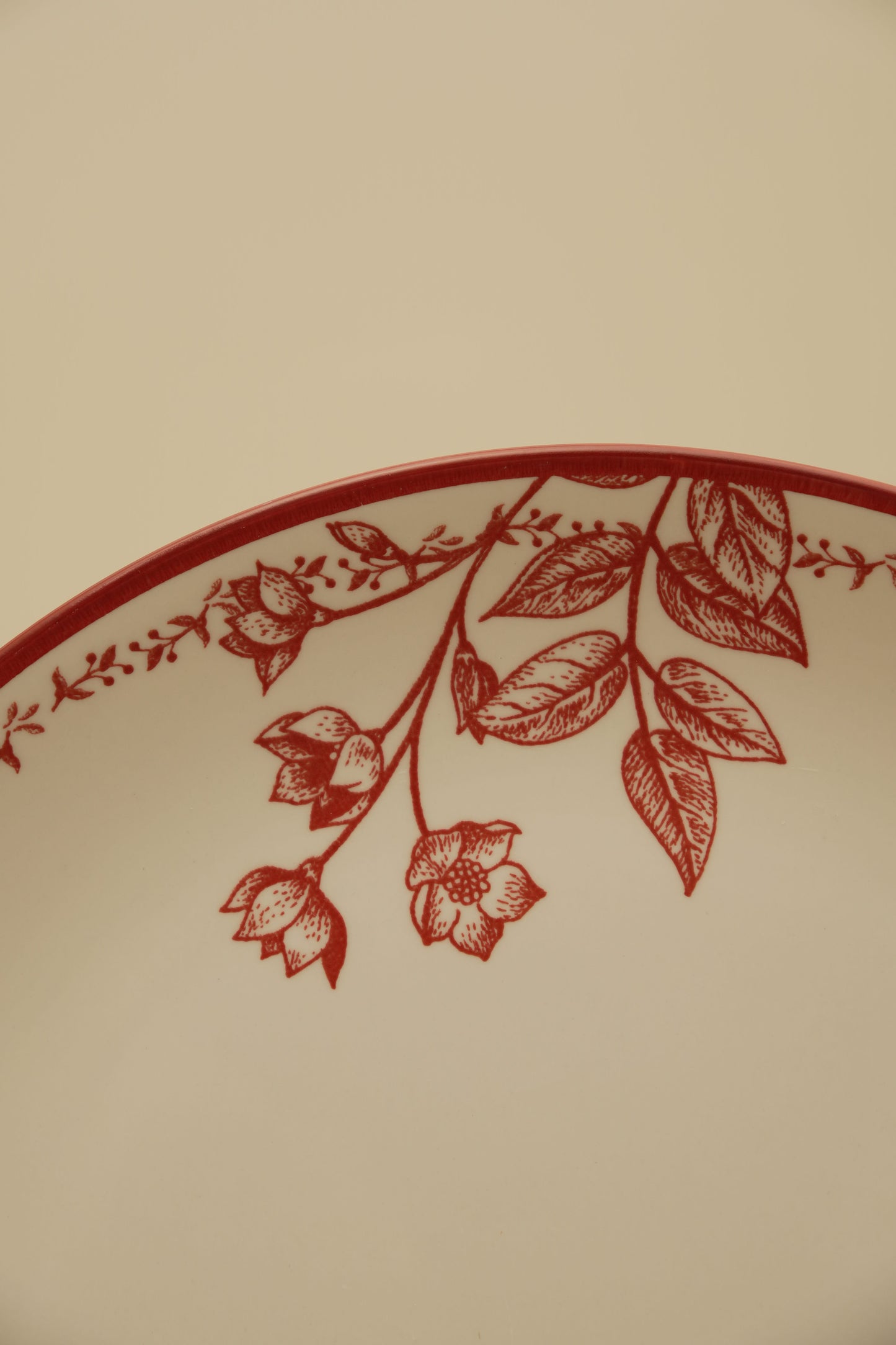 Crimson Garden Ceramic Dinner Plate - Set of 2
