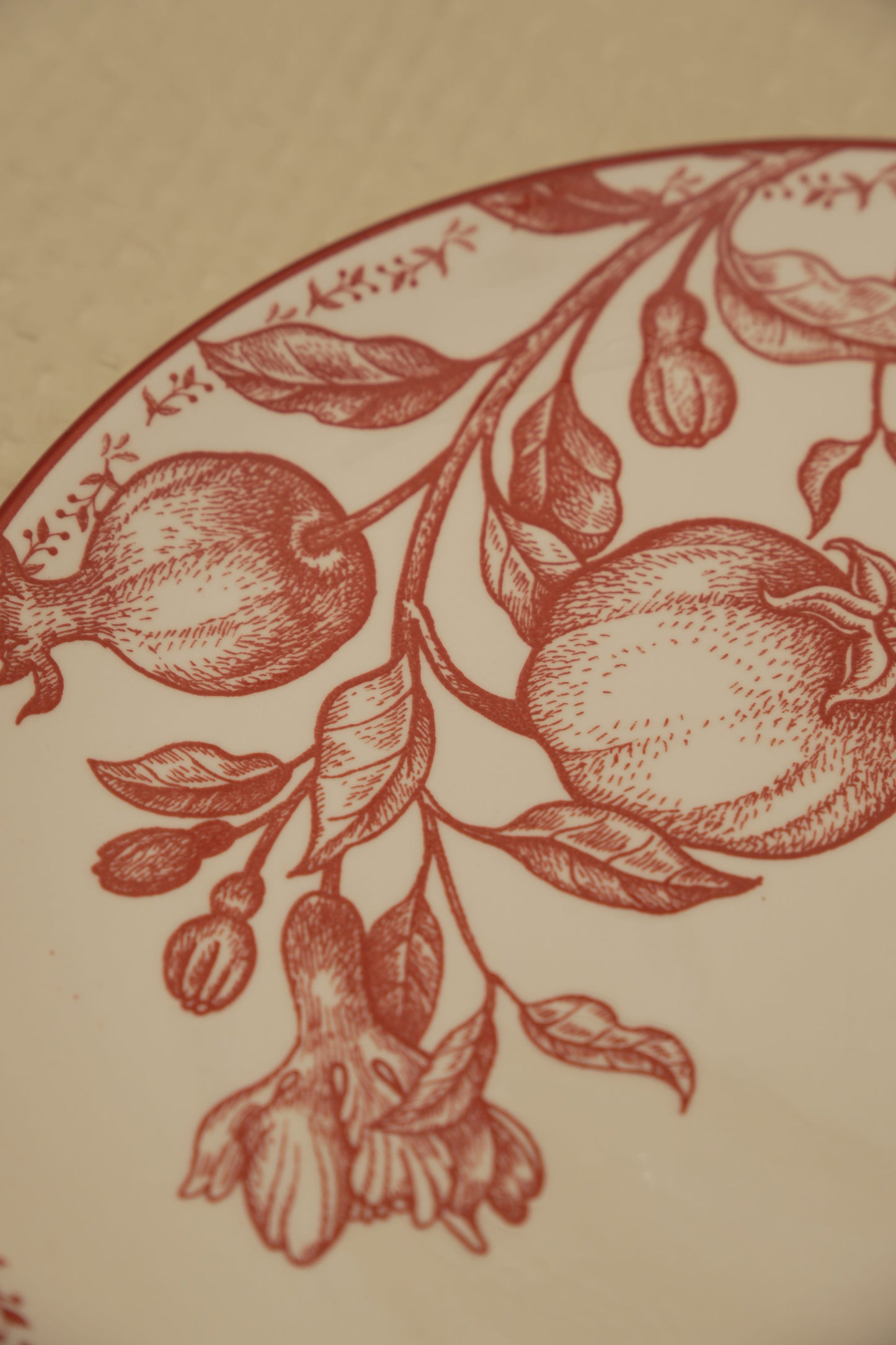 Crimson Garden Ceramic Dinner Plate - Set of 2