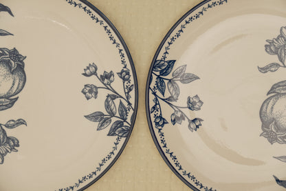 Azure Orchard Collection | Dinner Plate | Set of 2
