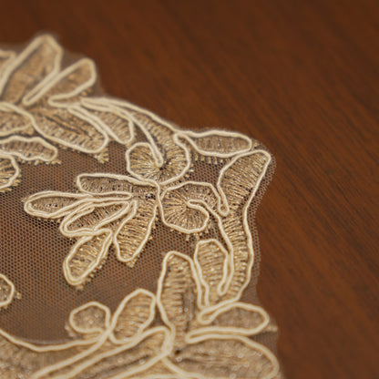 Premium Embroidered Lace Table Mats (Set of 2)