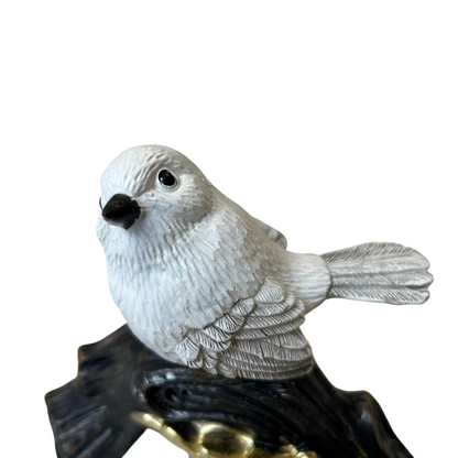 White Sparrow on Rustic Branch