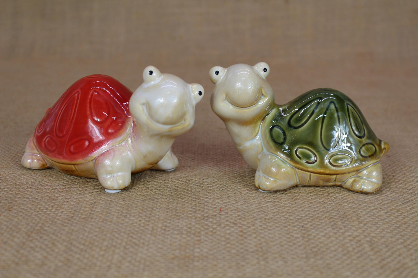 Glazed Turtle Friends | Set of 2 big